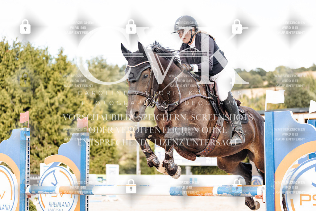 CK903704 | Turnierfotografie Pferdefotografie Trier Rheinland-Pfalz Pferdesport Reitsport Tierfotografie Sportfotografie Pferdevideo Pferdevideografie Equestrianvideography equestrianphotography  - Realisiert mit Pictrs.com