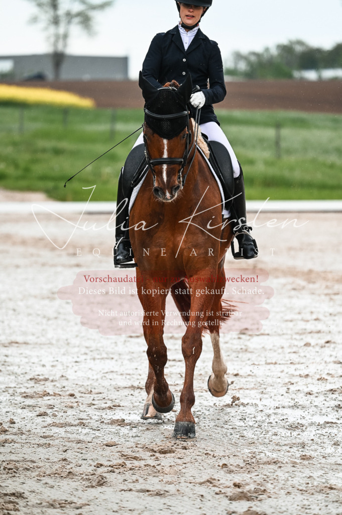 DSC_4230 | Pferde- und Turnierfotografie in Westsachsen. Pferdeportraits, Auftragszeichnungen und intuitive Kunst.
