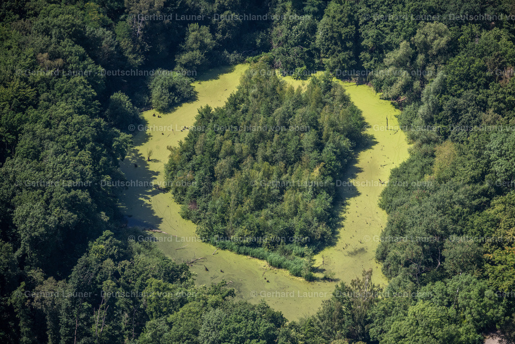 4035605 | BRAUNSCHWEIG 31.07.2020 Waldgebiete am Ufer des See " Bullenteich " an der Straße Doweseeweg im Ortsteil Siegfriedviertel in Braunschweig im Bundesland Niedersachsen, Deutschland. // Forests on the shores of Lake " Bullenteich " on street Doweseeweg in the district Siegfriedviertel in Brunswick in the state Lower Saxony, Germany. Foto: Gerhard Launer