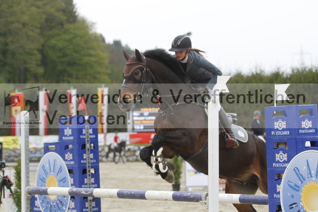 _MG_1498 | equestrian-live-com