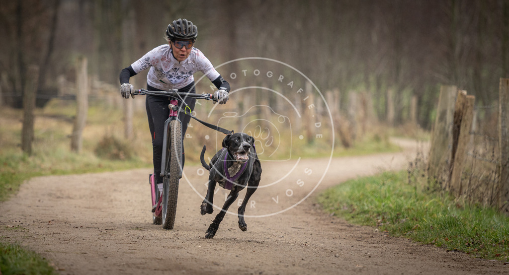 Pfotenfotografie_DV3A2309 | Hundefotografie, Tierfotograf, Pfotenfotografie, Fotoshooting Hund, Hunde Portrait, Hundesport, Hundeportraits, Heideshooting, Hunde, Sportfotograf, Hundefotograf, Turnierhundsport, THS,  - Realisiert mit Pictrs.com