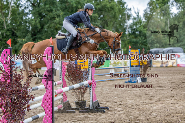 17.8 SPR A++ (210 von 597) | mandyhollmannphotographie
