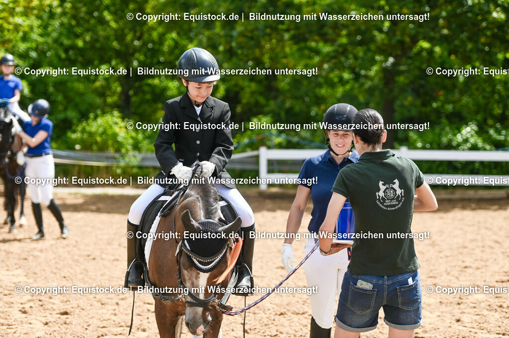 20230716_11_Führzügel-WB_0108 | equistock