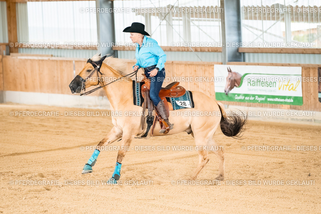 DSC02324 | Pferdegrafie