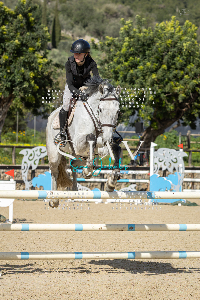 IMG_6731 | s-jay-photography - Realisiert mit Pictrs.com