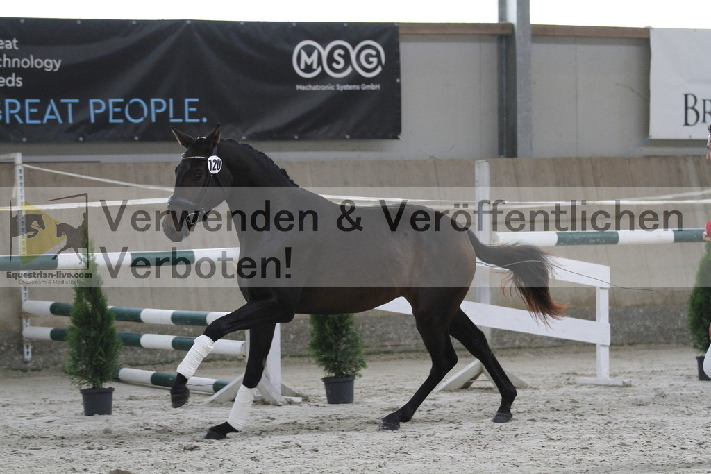 _MG_9466 | equestrian-live-com
