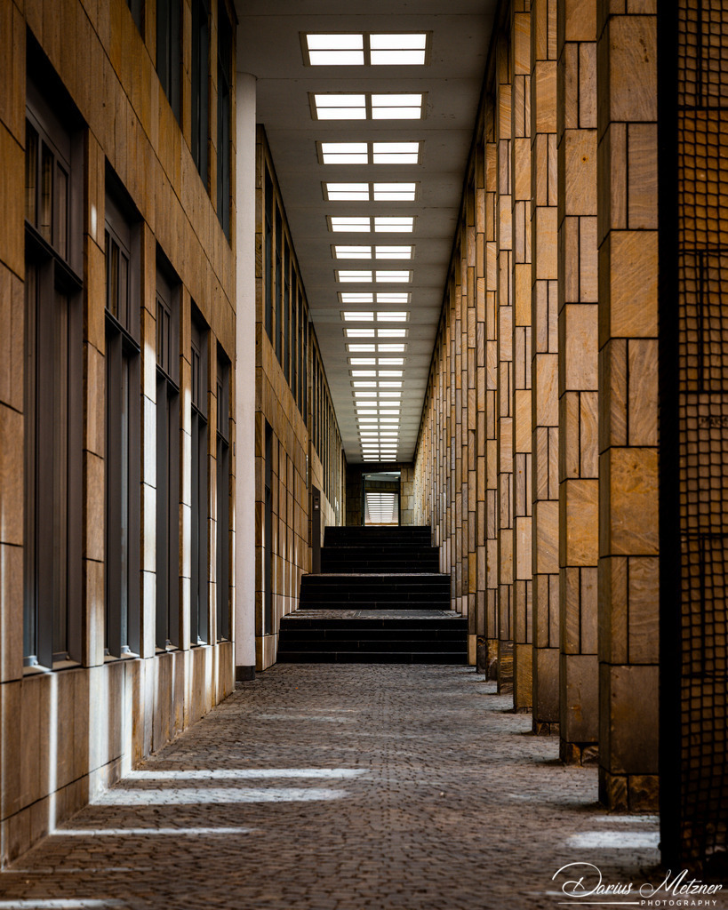 DSC_0270 | Fotografien, Fotos und Bilder aus Mainz, Frankfurt, Wiesbaden und anderen Orten auf der Welt - Fotografiert von Darius Metzner