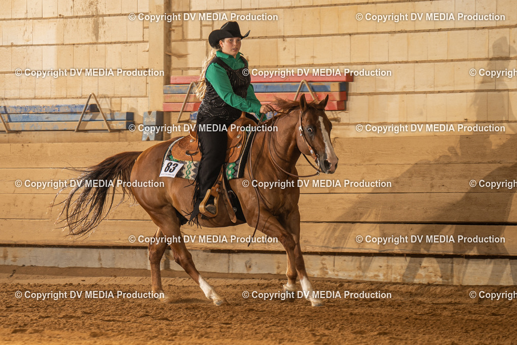 NID01964 | dv-media-shop - Realisiert mit Pictrs.com