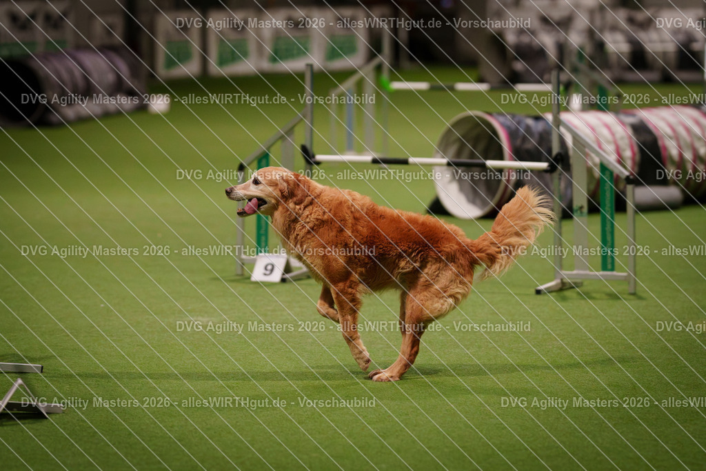allesWIRTHgut_Tierfotografie-DVG_Agility_Masters_2026-07_33-7R507373 | Professionelle Tierfotografie in Mönchengladbach von Daniel Wirth (allesWIRTHgut). Liebevolle & natürliche Bilder von Hunden & Katzen für unvergessliche Erinnerungen.