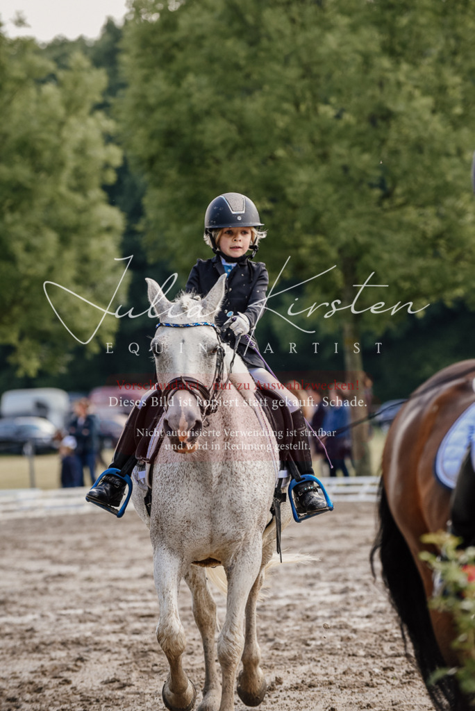 DSC_8333 | Pferde- und Turnierfotografie in Westsachsen. Pferdeportraits, Auftragszeichnungen und intuitive Kunst.