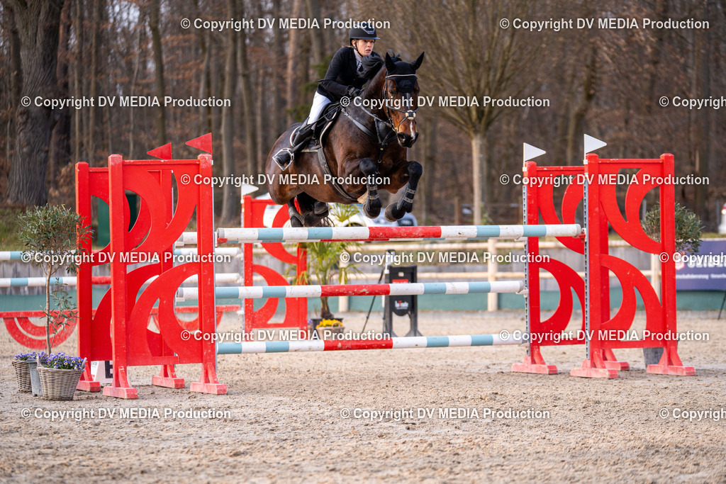 Kranichstein Tag 2-2401 | dv-media-shop - Realisiert mit Pictrs.com