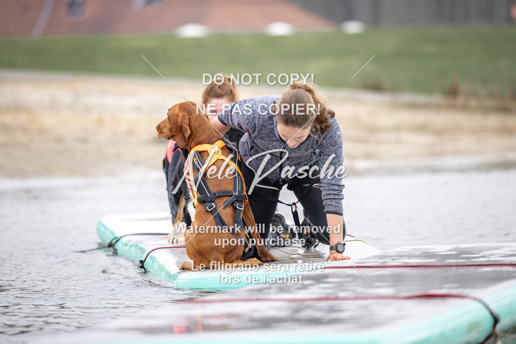 nelerasche_Hulsbeek_Sa1100-1130_757 | nelerasche