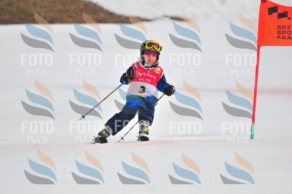 C0722 | holidayphoto