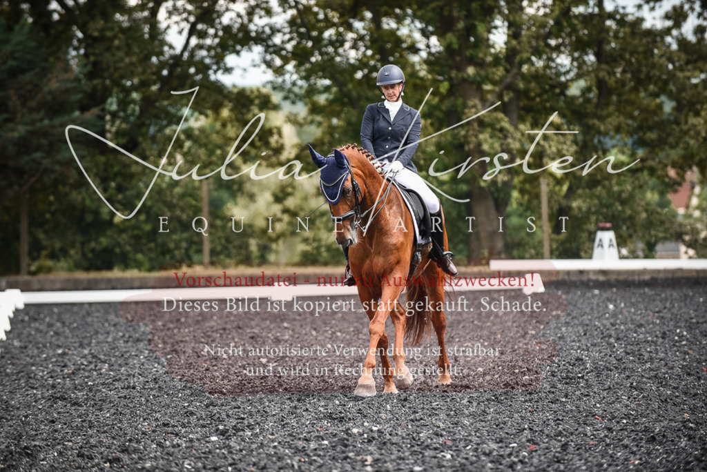 DSC_5028 | Pferde- und Turnierfotografie in Westsachsen. Pferdeportraits, Auftragszeichnungen und intuitive Kunst.