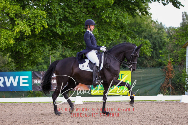 DKP41669 | Deine Turnierfotos vom Reitturnier online kaufen: Dressur, Springen & Siegerehrung. Professionelle Pferdefotografie aus dem Rheinland – als Download & Print.Alternative: Turnierfotograf für den Pferdesport: Finde deine Fotos von Dressur- und Springturnier
