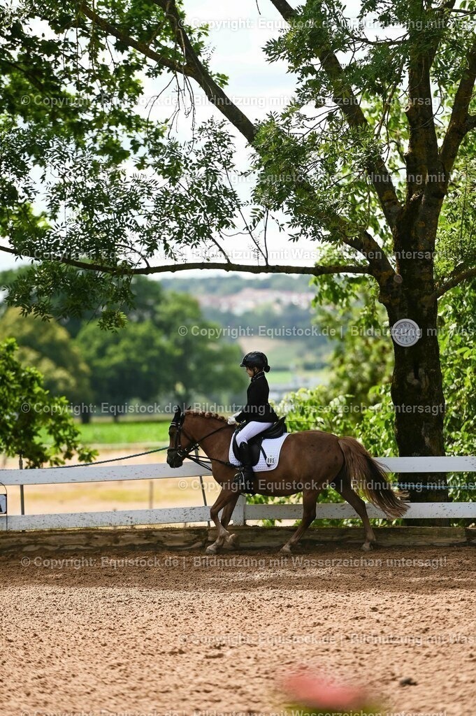20230716_10-3_Reiter-WB Schritt - Trab - Galopp_0162 | equistock