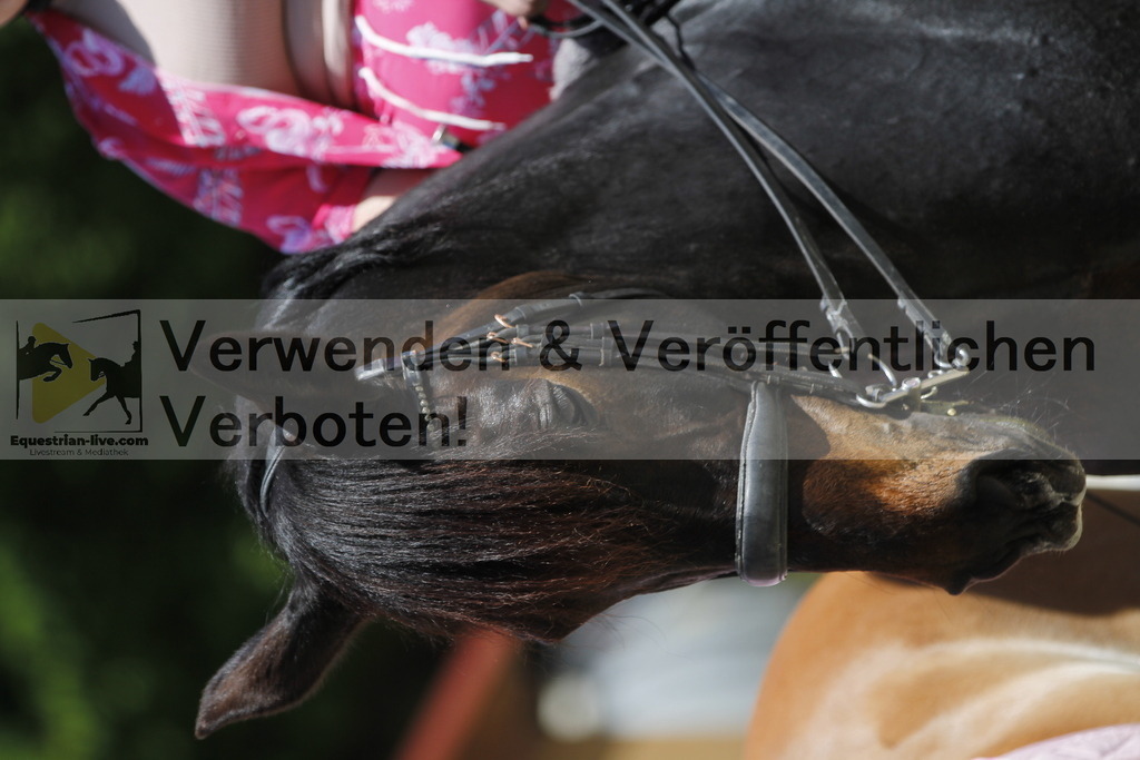 _MG_7830 | equestrian-live-com