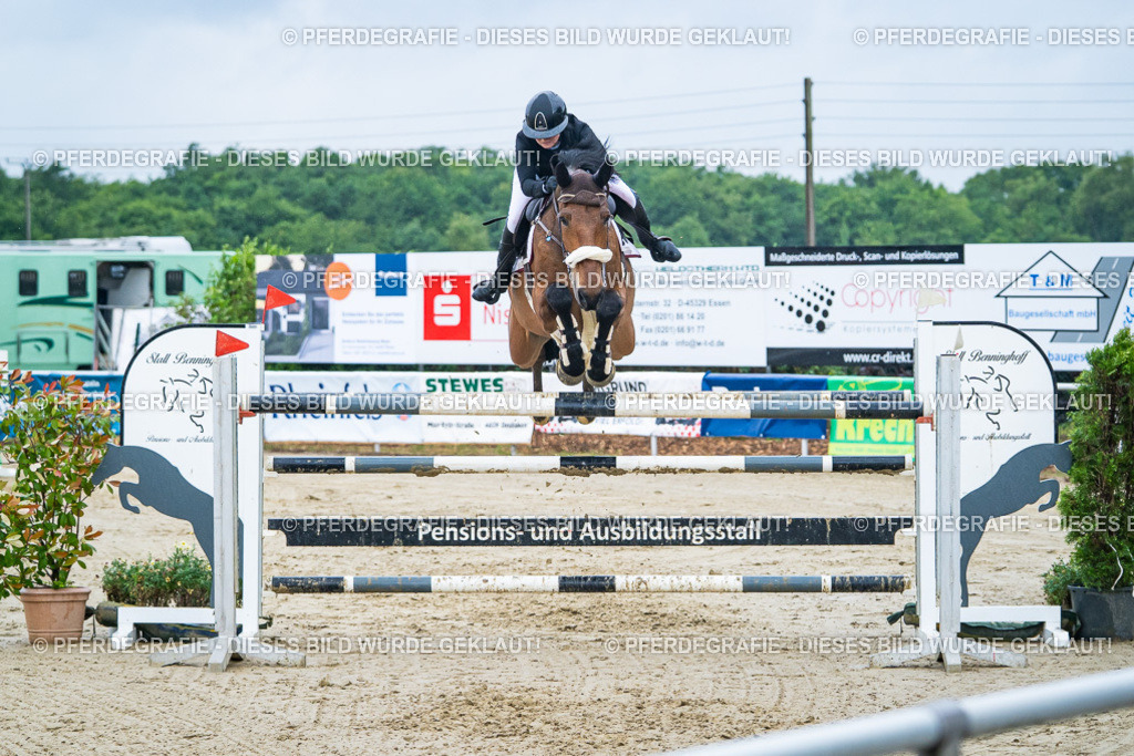 DSC00169 | Pferdegrafie