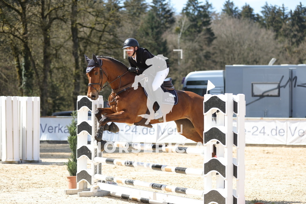 0P6A0021 | Willkommen bei Brunnmayr - Design & Fotografie – Ihrem Spezialisten für Reitturniere und Pferdeveranstaltungen in Oberösterreich, Salzburg und Bayern! Seit über 17 Jahren sind wir leidenschaftlich dabei.