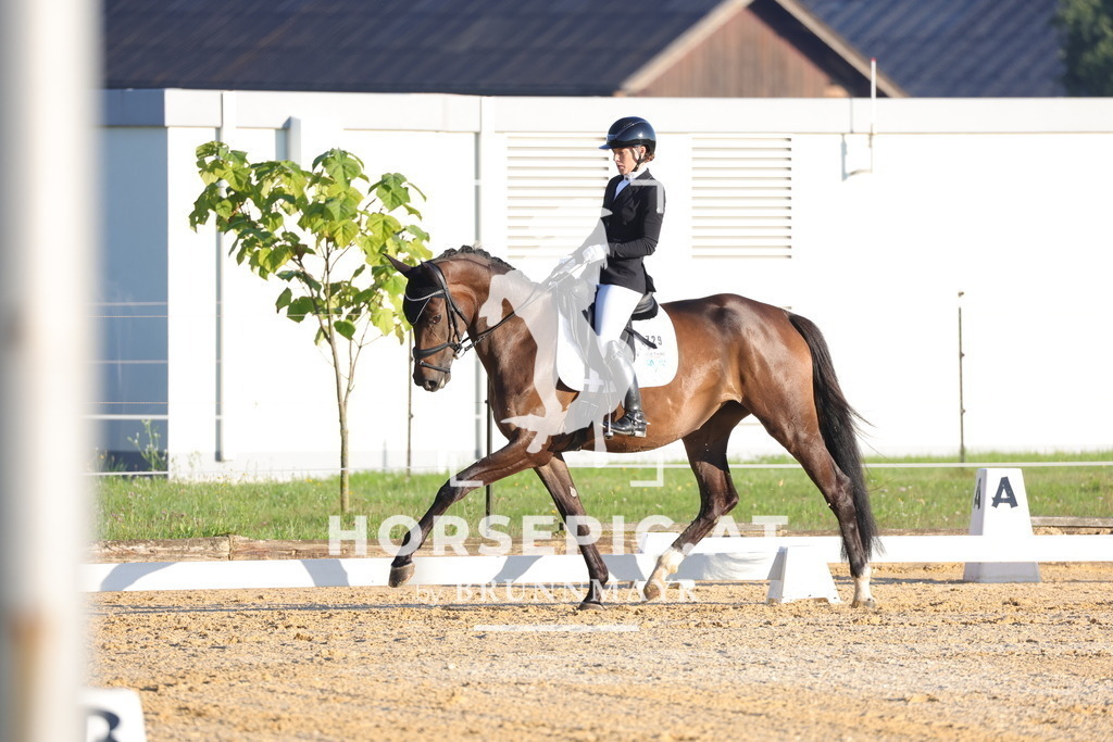 0P6A6536 | Willkommen bei Brunnmayr - Design & Fotografie – Ihrem Spezialisten für Reitturniere und Pferdeveranstaltungen in Oberösterreich, Salzburg und Bayern! Seit über 17 Jahren sind wir leidenschaftlich dabei.