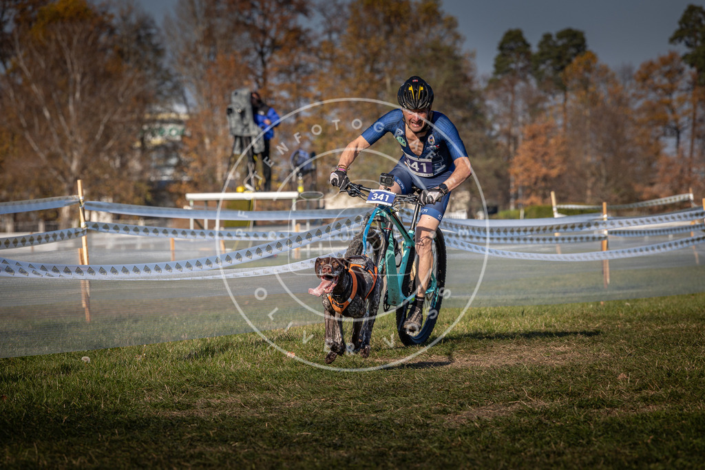 CaniXpix_0L8A6442 | Hundefotografie, Tierfotograf, Pfotenfotografie, Fotoshooting Hund, Hunde Portrait, Hundesport, Hundeportraits, Heideshooting, Hunde, Sportfotograf, Hundefotograf, Turnierhundsport, THS,  - Realisiert mit Pictrs.com