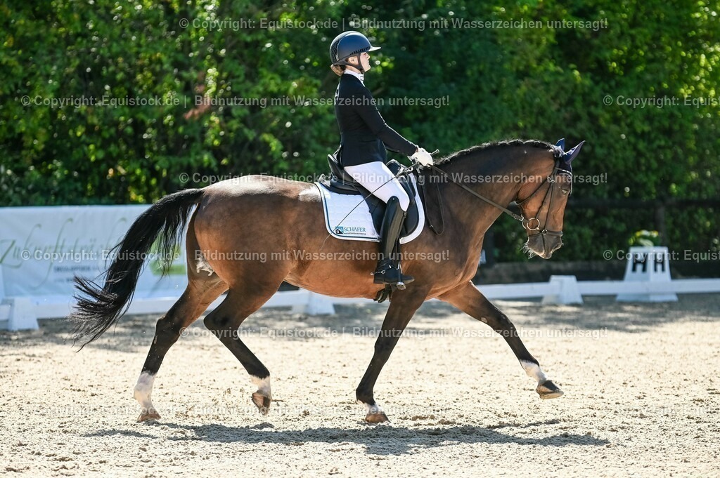 20230908_06_Dressur-L-Trense_0436 | equistock