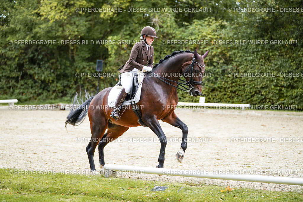 DSC01081 | Pferdegrafie