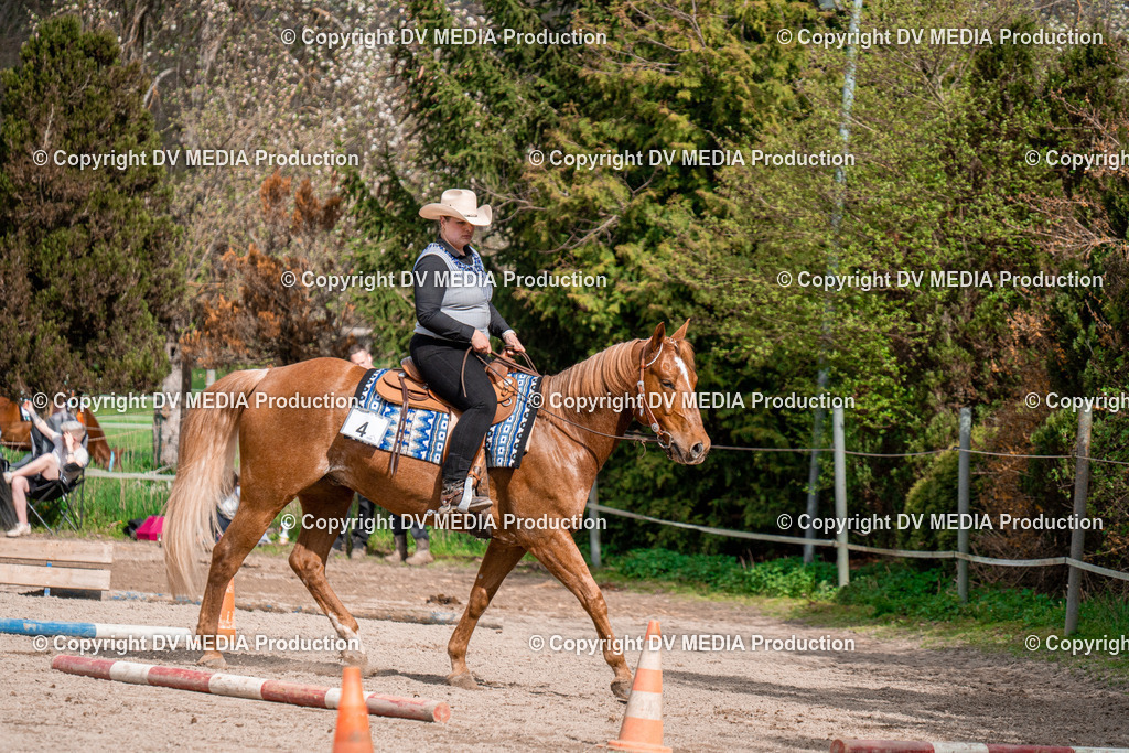 BAL02656 | dv-media-shop - Realisiert mit Pictrs.com