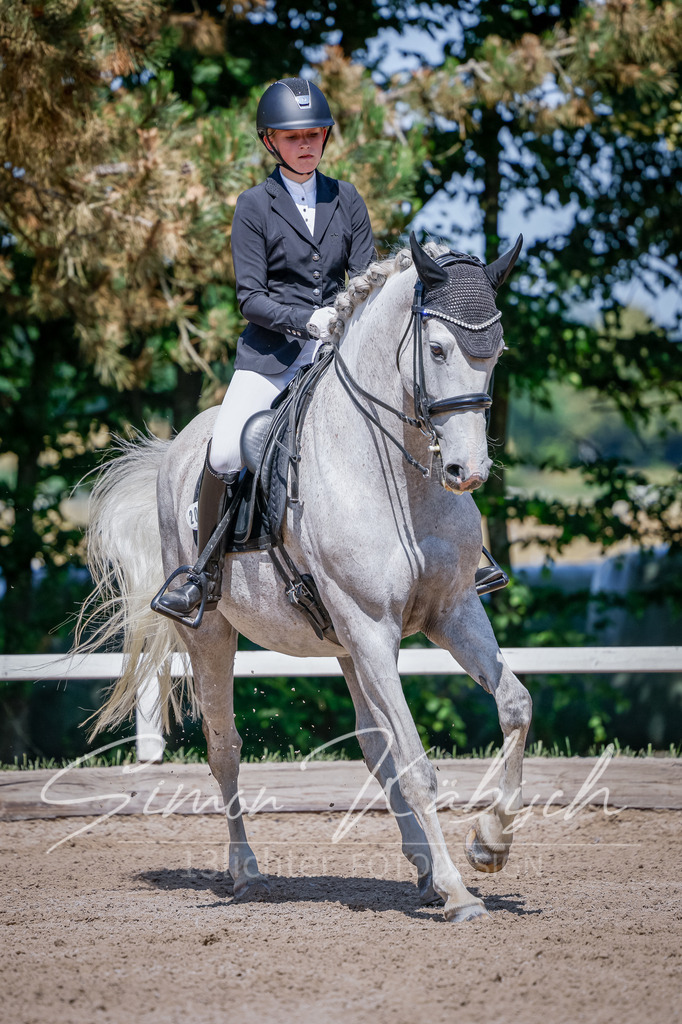 20250621-_3LI9235 | Tierfotografie Pferde, Hunde, Katzen, Haustiere.
Turnierfotografie Reitturniere, Reiten, Springreiten, Dressur in Hanau, dem Main-Kinzig-Kreis und dem Rhein-Main- Gebiet um Frankfurt