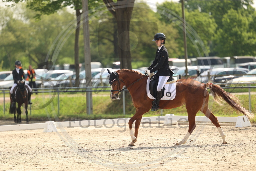 994A6750 | sabrinanicolaifotografie - Realisiert mit Pictrs.com