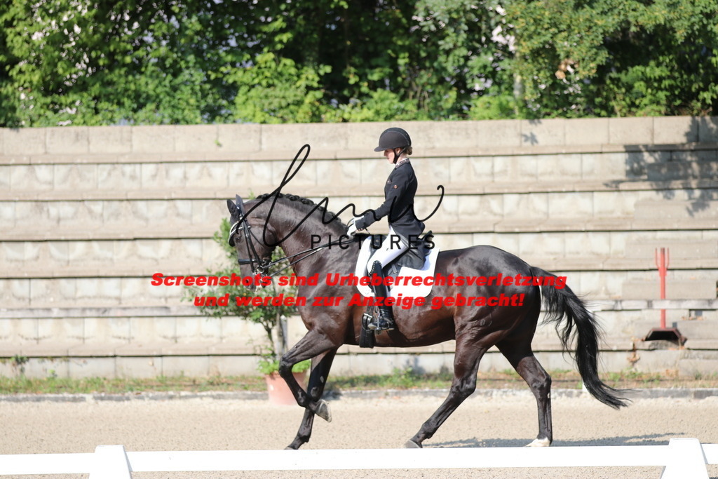 IMG_8780 | lmwpictures - Realisiert mit Pictrs.com