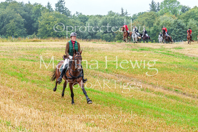 Jagd Kletkamp 26-02868_MarinaHewig | Fotografie, FotoArt, PferdesportArt, Pferdesportfotografie, Landschaftsfotografie, Reisefotografie, Reise, Pferde - Realisiert mit Pictrs.com