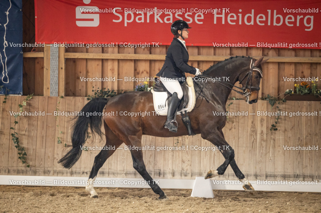 _D5A9237 | Emotionale Pferde- & People-Fotografie rund um Heidelberg, Leimen & Umgebung. Natürliche Fotos von Pferd, Mensch & Familie. Jetzt Termin sichern!