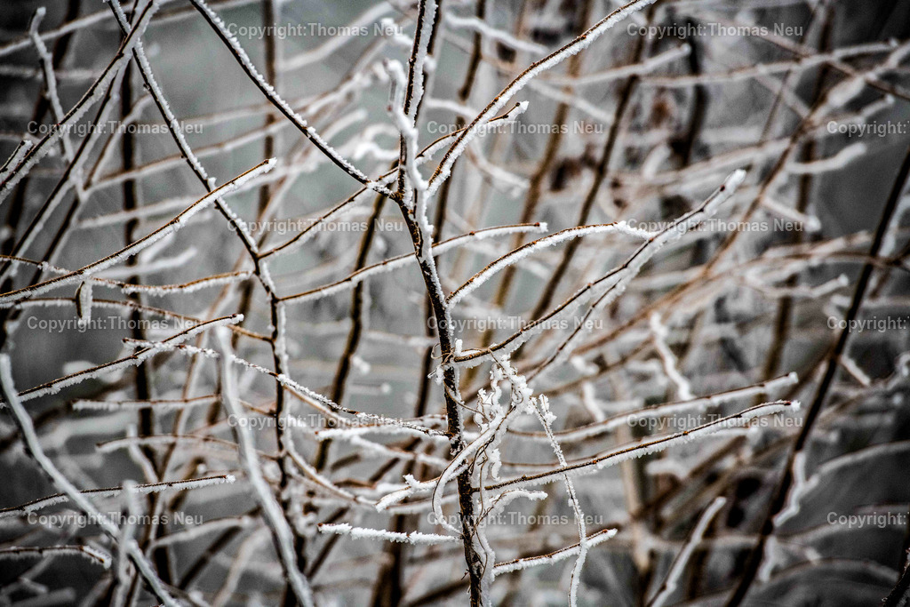 DSC_0995 | Lindenfels, Winterimpressionen aus Lindenfels, ,, Bild: Thomas Neu