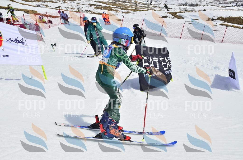 _ELE1971 | holidayphoto