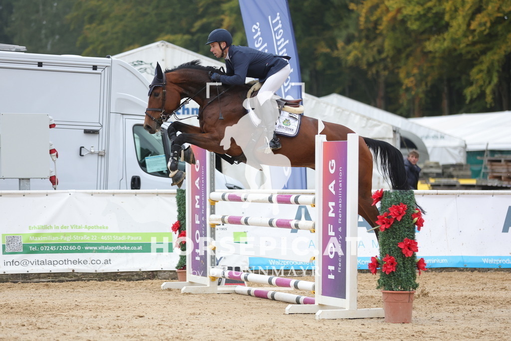 0P6A6391 | Willkommen bei Brunnmayr - Design & Fotografie – Ihrem Spezialisten für Reitturniere und Pferdeveranstaltungen in Oberösterreich, Salzburg und Bayern! Seit über 17 Jahren sind wir leidenschaftlich dabei.