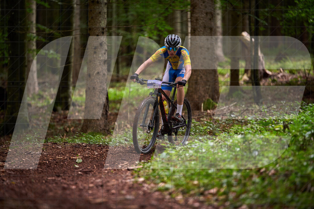 Betriebszentrum Laubenbachmühle, Frankenfels, Österreich - 13. September 2025: Dirndltal Race - Fun und Trophy RaceFotograf: Martin Bihounek / martinbihounek.com | 13. September 2025 Betriebszentrum Laubenbachmühle, Frankenfels, Österreich : Dirndltal Race - Fun und Trophy Race •••••Photo by: Martin Bihounek / martinbihounek.comInsta: @martinbihounekcom