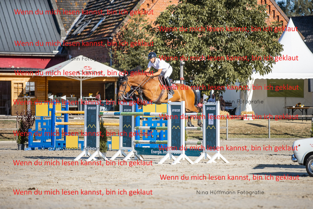 BK1A8677 | Turnierbilder Turnierfotos Nina Hüffmann Turnierfotografie Pferdefotografie Tierzeichnung Haustierzeichnung Pferdezeichnung Hundezeichnung Videograf  - Realisiert mit Pictrs.com