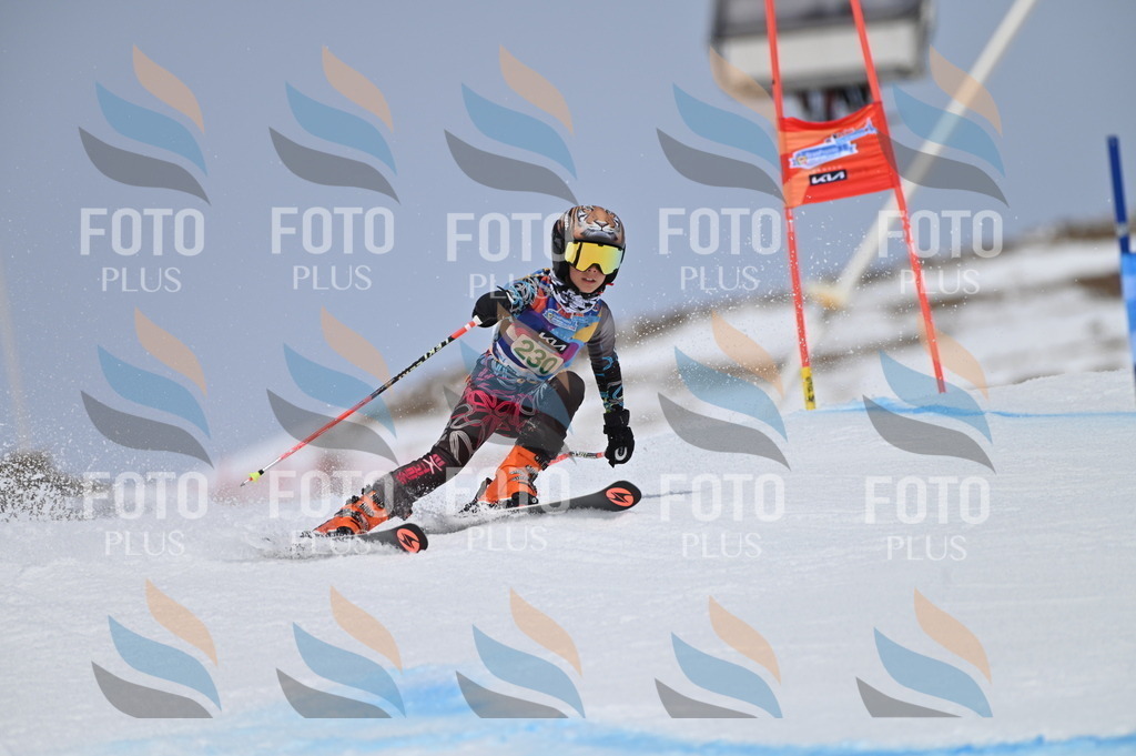 BGV_4547 | holidayphoto