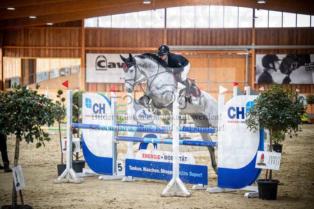DOS_1565 | Entdecke hochwertige Reitturnierfotos von Foto Oger. Professionell, emotional und authentisch – jetzt Lieblingsmomente im Shop bestellen.Deutschlandweite Turnierfotografie. - Realisiert mit Pictrs.com