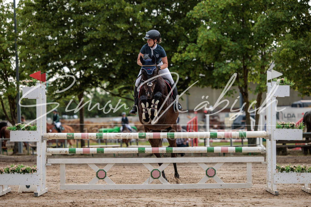 20260531-_3LI3432 | Tierfotografie Pferde, Hunde, Katzen, Haustiere.
Turnierfotografie Reitturniere, Reiten, Springreiten, Dressur in Hanau, dem Main-Kinzig-Kreis und dem Rhein-Main- Gebiet um Frankfurt