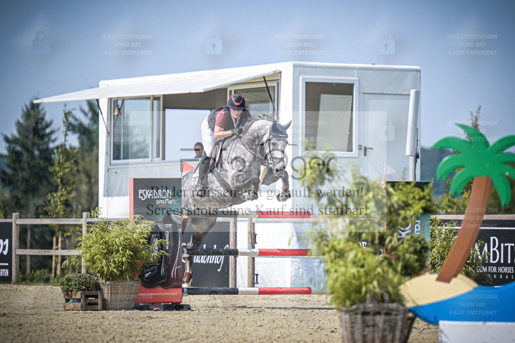 DOS_3058 | Entdecke hochwertige Reitturnierfotos von Foto Oger. Professionell, emotional und authentisch – jetzt Lieblingsmomente im Shop bestellen. - Realisiert mit Pictrs.com