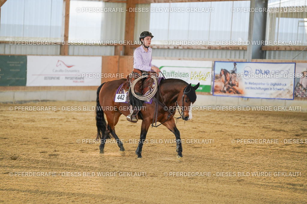 DSC08796 | Pferdegrafie