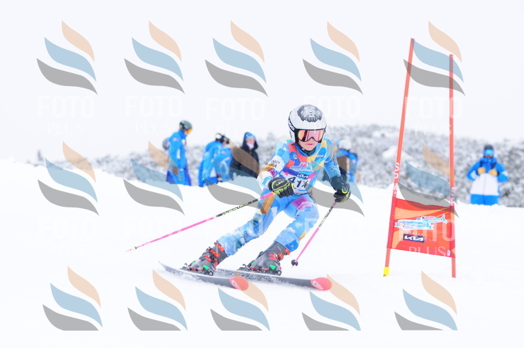 C4359 | holidayphoto