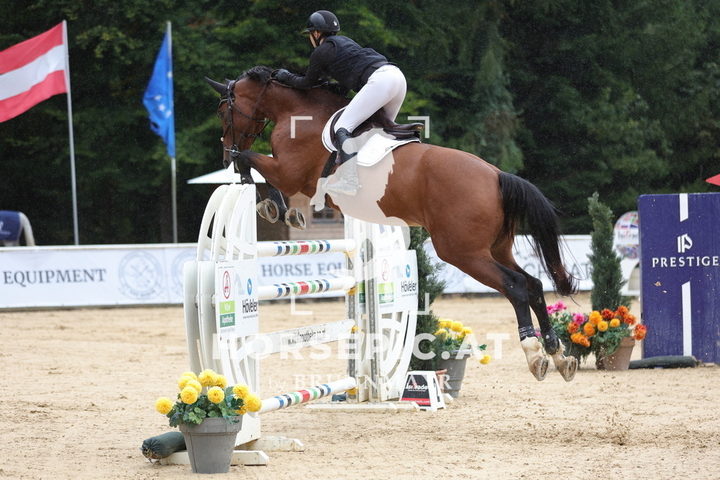 0P6A9980 | Willkommen bei Brunnmayr - Design & Fotografie – Ihrem Spezialisten für Reitturniere und Pferdeveranstaltungen in Oberösterreich, Salzburg und Bayern! Seit über 17 Jahren sind wir leidenschaftlich dabei.