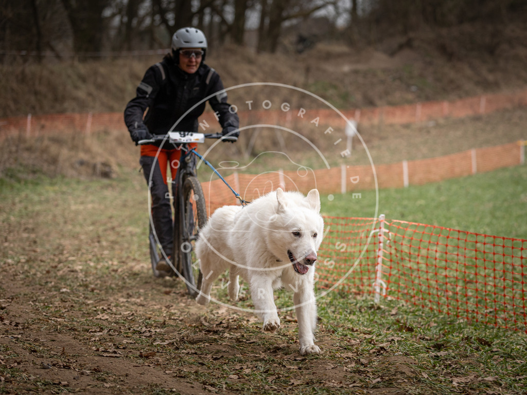 Pfotenfotografie_DV3A6917 | Hundefotografie, Tierfotograf, Pfotenfotografie, Fotoshooting Hund, Hunde Portrait, Hundesport, Hundeportraits, Heideshooting, Hunde, Sportfotograf, Hundefotograf, Turnierhundsport, THS,  - Realisiert mit Pictrs.com