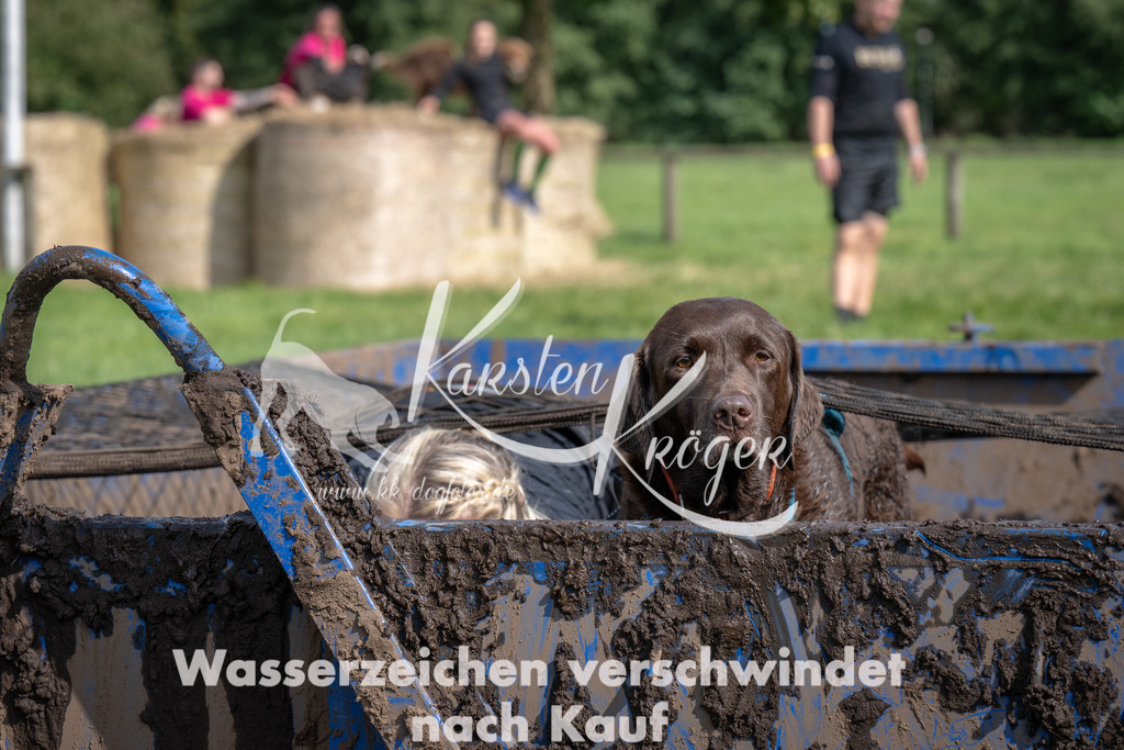 _ZZ91464 | kk-dogfotos