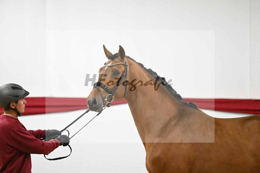 Kat-Nr. 54 v. Vaderland_Rakelbusch_63221554 | hf-fotografie - Realizzato con Pictrs.com