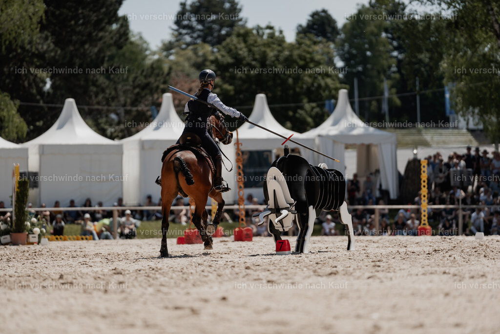 WE_SP_Stoib_343_PI2025_1786 | Pferd International München 2025