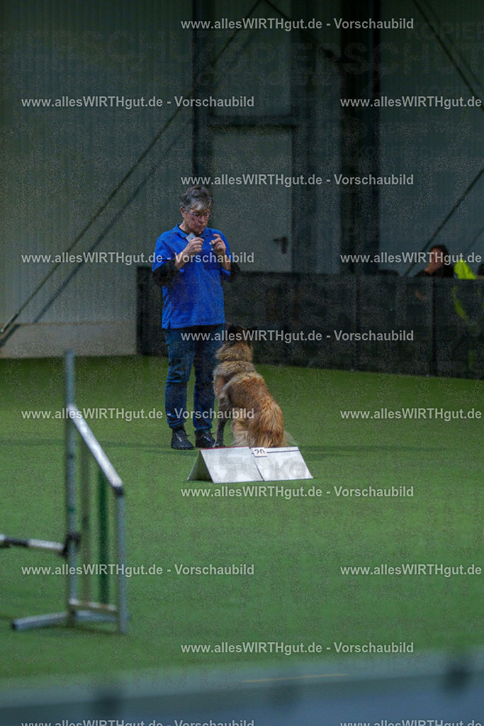 7R502608 | Professionelle Tierfotografie in Mönchengladbach von Daniel Wirth (allesWIRTHgut). Liebevolle & natürliche Bilder von Hunden & Katzen für unvergessliche Erinnerungen.